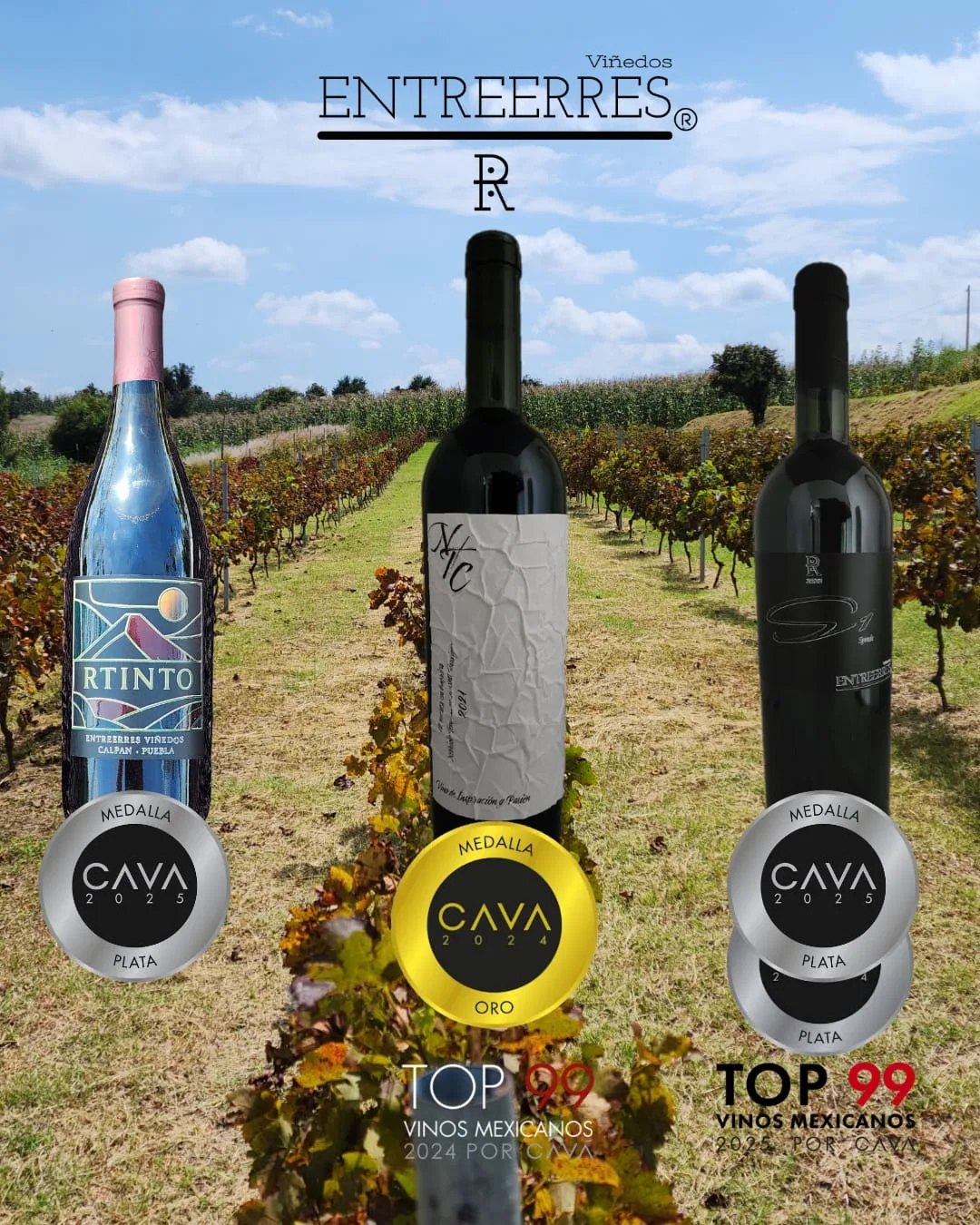 Compra de vino